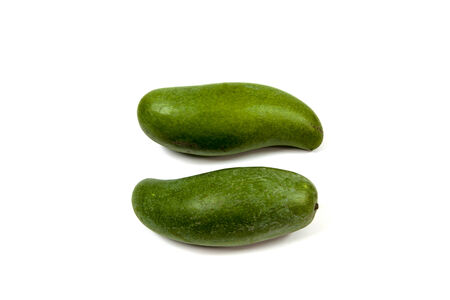 Fresh green mango Thailand の写真素材