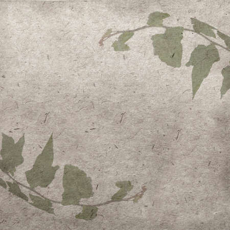 green ivy on old grunge antique paper textureの写真素材