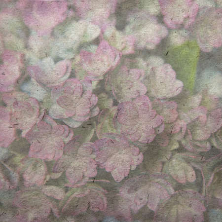 vintage wallpaper background with small succulentの写真素材