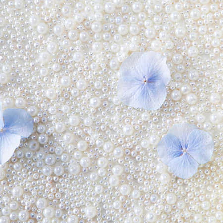 background of pearls and hydrangeaの写真素材