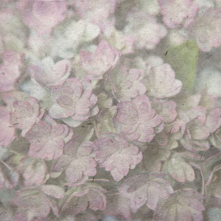 vintage wallpaper background with small succulentの写真素材