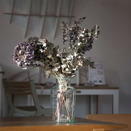 Close up of dry colorful hydrangea flowers in a vase in interior