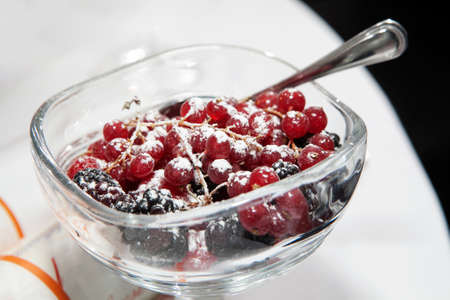 red currant with powdered sugarの写真素材