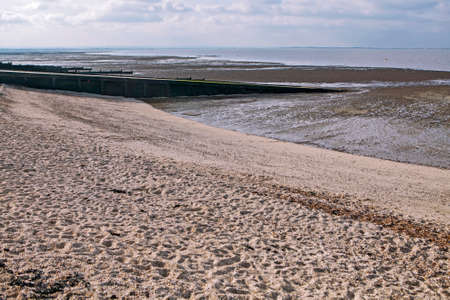 groynes on the shingle beach at whitstable kentの写真素材