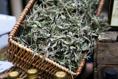 Green olive tree detail in the wicked basket as a decoration of shopの写真素材