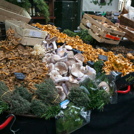 LONDON - JUN 12, 2015: Fresh chanterelles and Cauliflower mushroom. Borough london, borough market london, farmers market, borough uk local market, farm market, farmers local market, dairy store, market gourmet, crates foodのeditorial素材