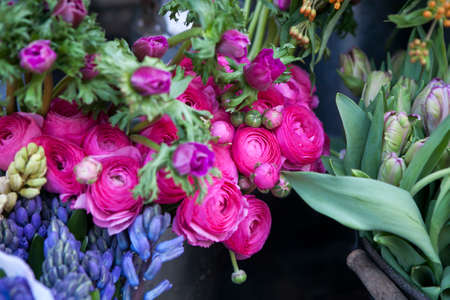 Bouquet of pink ranunculus with tulipの写真素材