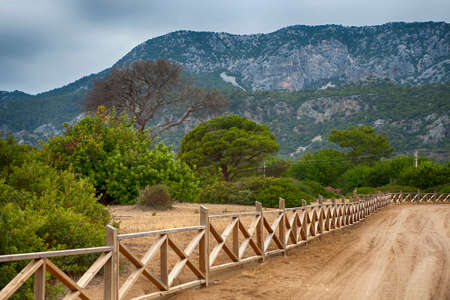 Cirali view with pinesの写真素材