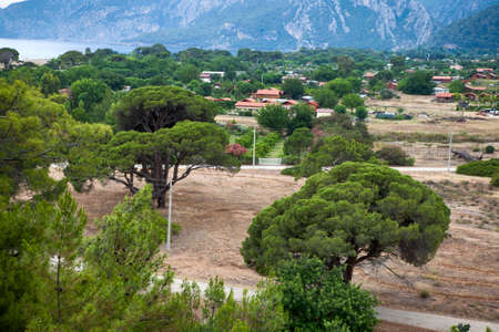Cirali view with pines