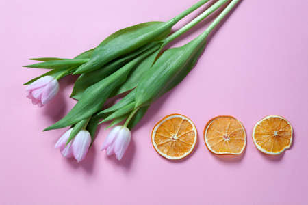 Pink tulips flowers arrangement with dry orange slice on pink background. Copyspaceの写真素材
