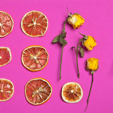 dried orange and lemon slice with yellow rose on a burgundy background as an art work that can be used for decorationの写真素材
