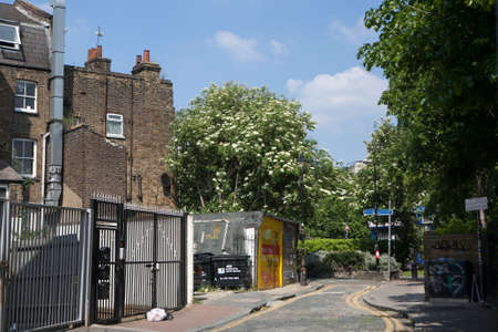 LONDON, ENGLAND - JULY 12, 2016 columbia road in East London. Popular location for shootingのeditorial素材
