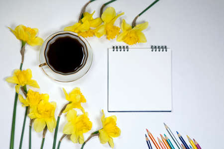 A cup of coffee and a saucer, daffodils and pencils on a white background. Copyspaceの写真素材