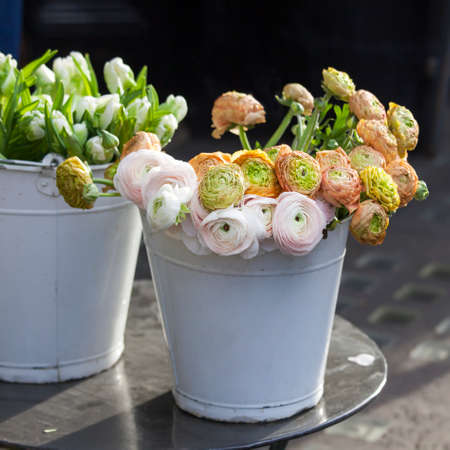 Bouquet of orange Ranunculaceae for saleの写真素材