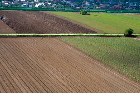 Agriculture - Linear irrigation of an early growth spring cropの写真素材