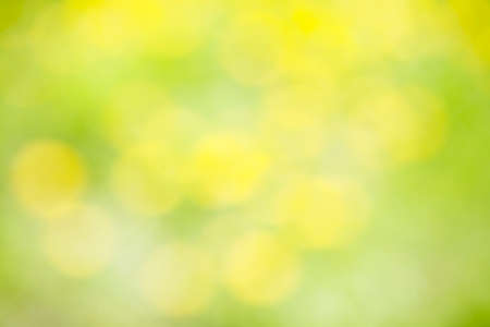 the Blurred image of soft green bokeh background.の写真素材