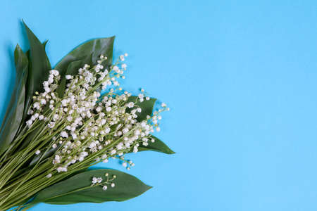 the Lilly of the valley flowers and leaves bouquet on blue backgroundの写真素材
