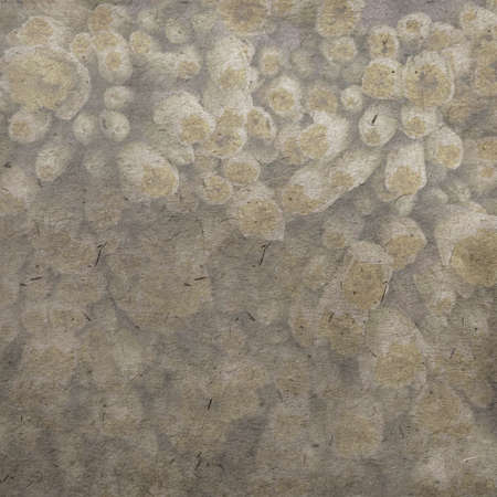 textured old paper background with doule narcissi