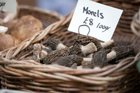 Dried Morels (Morchella vulgaris) at La Boquer?a market, Barcelona. Catalonia, Spainの写真素材