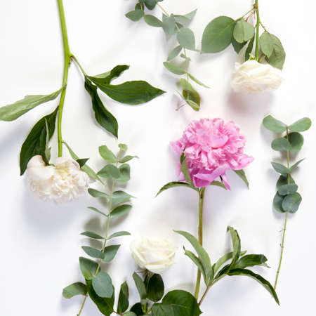 Pink and white peony with eucalyptus and white roses form a frame on a white background.の写真素材