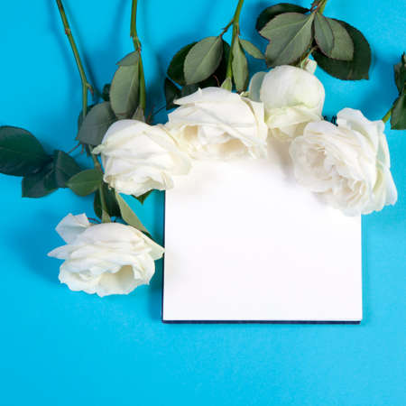 A notebook on the springs with a white rose on a blue background with an empty space for notes.の写真素材