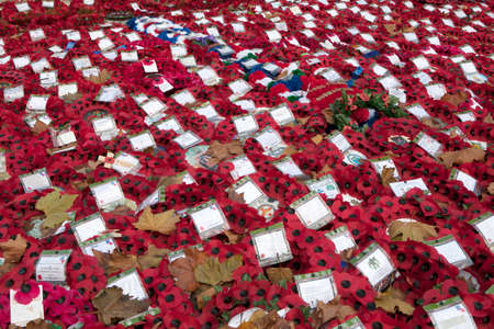 LONDON, ENGLAND - october 12, 2016 Poppy Wreaths and poppies amongst the leaves at the War Memorial on Whitehall London England UKのeditorial素材
