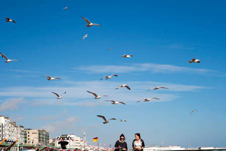 BRIGHTON, GREAT BRITAIN - MAR 01, 2017: Two girls with food run away from gulls who attack them on the beachのeditorial素材