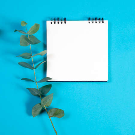 A notebook on the springs with a eucalyptus on a blue background with an empty space for notes.の写真素材