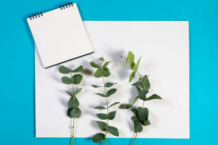 A notebook on the springs with a eucalyptus on a blue background with an empty space for notes.の写真素材