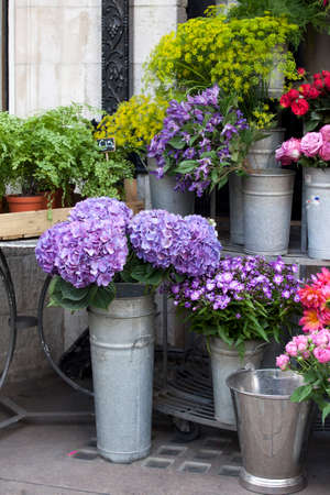 Blue hydrangeas, as well as pale white lilies for sale at the entrance to the flower shopの写真素材