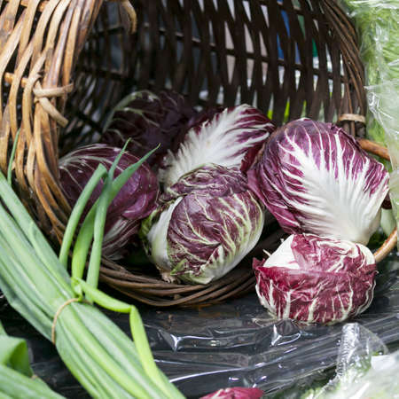radicchio lettuce in wicker basket for saleの写真素材