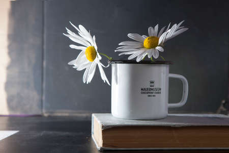 A bouquet of chamomiles in a white cup that stands on booksの写真素材