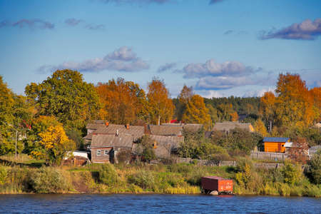 Picture of Forest by River in Autumnのeditorial素材