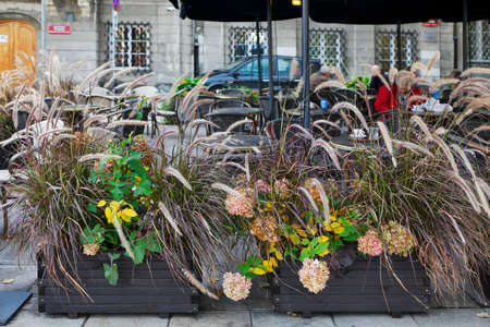 Warsaw, Poland - October 20, 2017 Decorative grass grasses with hydrangeas as a decoration of the entrance to the cafe Neroのeditorial素材