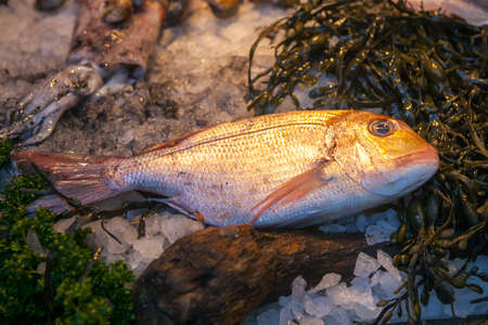 Freshly caught Sea fishes and other seafood on display at Borough Marketの写真素材