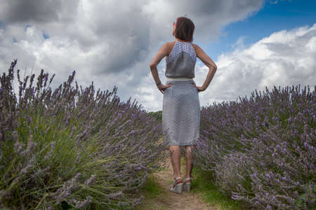 a field of lavender at Mayfield Lavender farm on the Surrey Downs. Selective focus. Girl in beautiful dress from back to fieldの写真素材