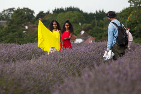 LONDON, UK - JUNE 21 2017 field of lavender at Mayfield Lavender farm on the Surrey Downs. Selective focus. People pose a photographer.のeditorial素材