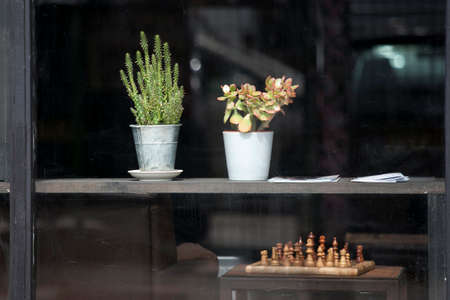 Succulent, cactus and chess in the cafe showcase