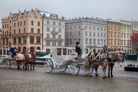 Krakow, Poland - February 12, 2018 Horse in front of st Mary cathedral in Krakow, Poland