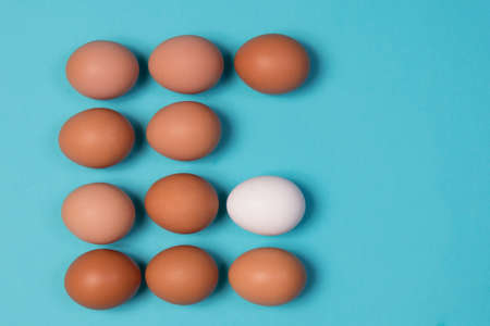 ten brown eggs and one white egg on the blue backgroundの写真素材