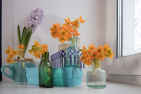 Pale hyacint in blue cup and Blooming yellow Ornithogalum Dubium in a transparent bottle instead...