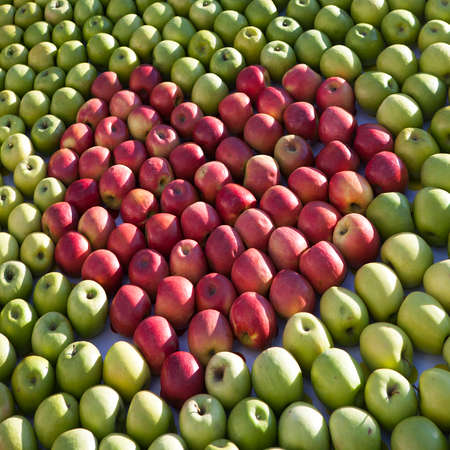 red and green apples make heart pictureの写真素材