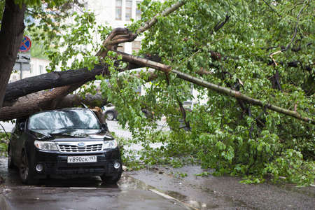 MOSCOW, RUSSIA - 26 June, 2017: Hurricane in Moscow knocked down trees. The tree fell on an expensive car.のeditorial素材