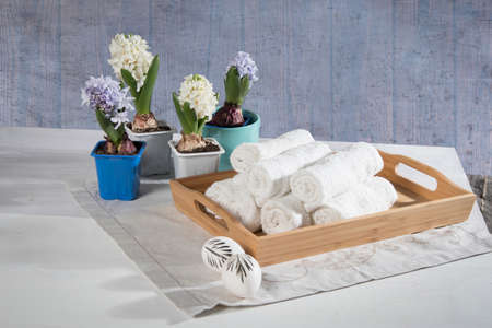 Tray with hand towels, hyacinths in pots in the bathroom of the spa salonの写真素材