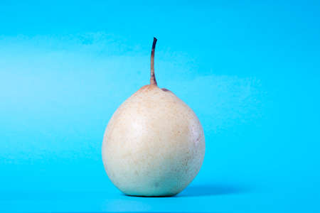 Yellow chinese pear isolated on blue background. Copy spaceの写真素材