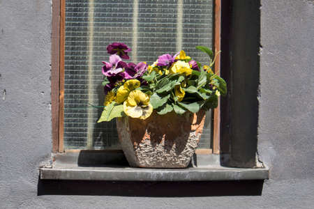 Basket with violets and artificial bouquet of tulips, chrysanthemums, lilies of the valley and...