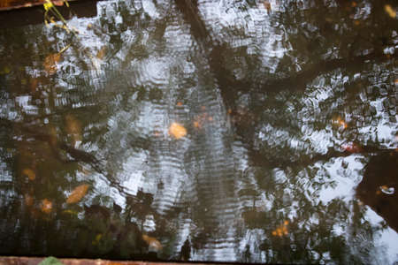 the Ripples on the water like a fancy drawing