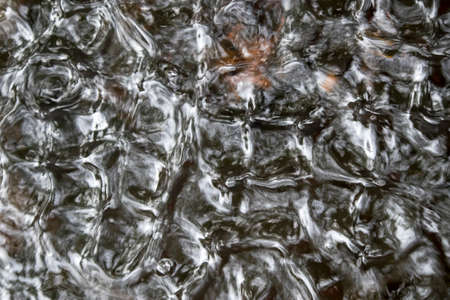 the Ripples on the water like a fancy drawing