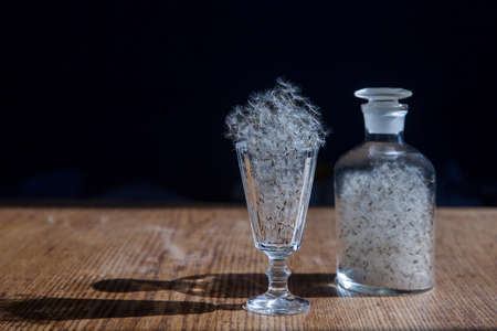 Dandelions in a transparent vase against the sunの写真素材