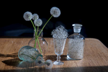 Dandelions in a transparent vase against the sunの写真素材